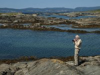 N, Nordland, Bodo, Godoynes 16, Saxifraga-Marijke Verhagen