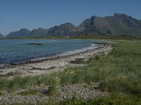 N, Nordland, Flakstad, Fredvang 17, Saxifraga-Jan van der Straaten