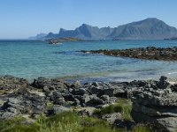 N, Nordland, Flakstad, Fredvang 31, Saxifraga-Marijke Verhagen