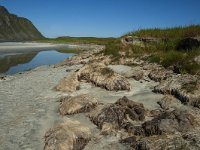 N, Nordland, Flakstad, Fredvang 33, Saxifraga-Marijke Verhagen