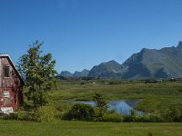 N, Nordland, Flakstad, Fredvang 36, Saxifraga-Marijke Verhagen