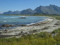 N, Nordland, Flakstad, Fredvang 37, Saxifraga-Marijke Verhagen