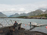 N, Nordland, Flakstad, Fredvang 49, Saxifraga-Hans Dekker