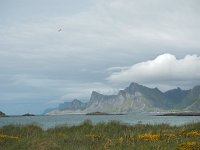 N, Nordland, Flakstad, Fredvang 63, Saxifraga-Hans Dekker