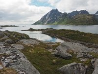 N, Nordland, Flakstad, Sund 4, Saxifraga-Hans Dekker