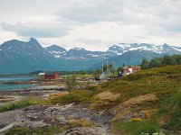 N, Nordland, Hamaroy, Skutvik 12, Saxifraga-Hans Dekker