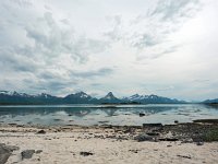 N, Nordland, Hamaroy, Skutvik 17, Saxifraga-Hans Dekker