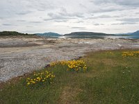 N, Nordland, Hamaroy, Skutvik 3, Saxifraga-Hans Dekker