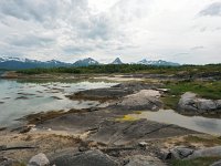 N, Nordland, Hamaroy, Skutvik 4, Saxifraga-Hans Dekker