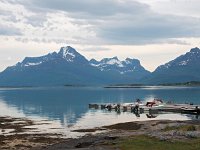 N, Nordland, Hamaroy, Skutvik 9, Saxifraga-Hans Dekker