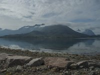 N, Nordland, Rodoy, Jektvik 2, Saxifraga-Marijke Verhagen