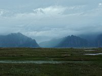 N, Nordland, Vagan, Kabelvag 1, Saxifraga-Hans Deklker