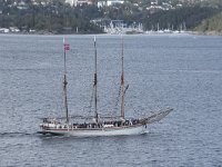 N, Oslo, Oslofjord 28, Saxifraga-Willem van Kruijsbergen