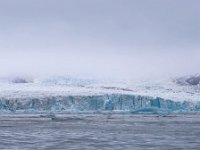 N, Spitsbergen, Burgerbukta 10, Saxifraga-Bart Vastenhouw