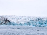 N, Spitsbergen, Burgerbukta 11, Saxifraga-Bart Vastenhouw