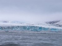 N, Spitsbergen, Burgerbukta 9, Saxifraga-Bart Vastenhouw