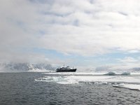 N, Spitsbergen, Fuglesangen 17, Saxifraga-Bart Vastenhouw