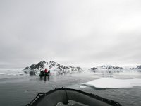 N, Spitsbergen, Fuglesangen 28, Saxifraga-Bart Vastenhouw