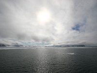 N, Spitsbergen, Fuglesangen 3, Saxifraga-Bart Vastenhouw