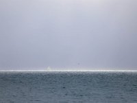 N, Spitsbergen, Isfjorden 1, Saxifraga-Bart Vastenhouw