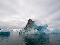 N, Spitsbergen, Kongsfjord 32, Saxifraga-Bart Vastenhouw