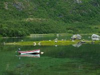 N, Troms, Kaefjord, Gullesfjordbotn 15, Saxifraga-Hans Dekker