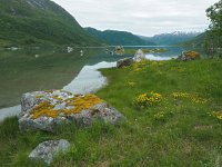 N, Troms, Kaefjord, Gullesfjordbotn 16, Saxifraga-Hans Dekker