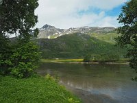 N, Troms, Kaefjord, Gullesfjordbotn 5, Saxifraga-Hans Dekker