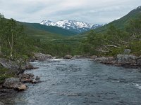 N, Troms, Kaefjord, Gullesfjordbotn 7, Saxifraga-Hans Dekker