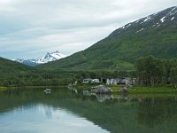 N, Troms, Kaefjord, Gullesfjordbotn 8, Saxifraga-Hans Dekker