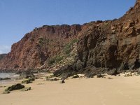 P, Faro, Aljezur, Carrapateira, Praia do Amado 10, Saxifraga-Willem van Kruijsbergen