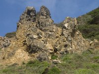 P, Faro, Aljezur, Carrapateira, Praia do Amado 13, Saxifraga-Willem van Kruijsbergen