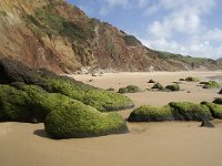 P, Faro, Aljezur, Carrapateira, Praia do Amado 18, Saxifraga-Willem van Kruijsbergen