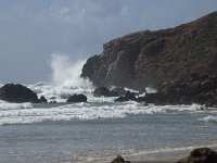 P, Faro, Aljezur, Carrapateira, Praia do Amado 30, Saxifraga-Willem van Kruijsbergen