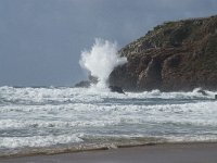 P, Faro, Aljezur, Carrapateira, Praia do Amado 32, Saxifraga-Willem van Kruijsbergen