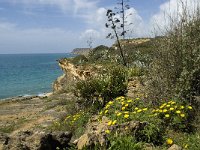 P, Faro, Burgau 18, Saxifraga-Willem van Kruijsbergen