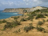 P, Faro, Burgau 6, Saxifraga-Willem van Kruijsbergen