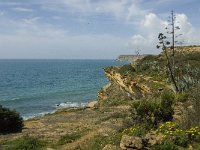 P, Faro, Burgau 8, Saxifraga-Jan van der Straaten