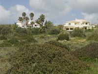 P, Faro, Burgau 9, Saxifraga-Jan van der Straaten