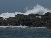 P, Faro, Rogil, Praia do Vale dos Homens 12, Saxifraga-Willem van Kruijsbergen