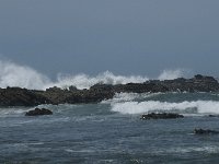 P, Faro, Rogil, Praia do Vale dos Homens 23, Saxifraga-Willem van Kruijsbergen