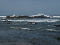 P, Faro, Rogil, Praia do Vale dos Homens 7, Saxifraga-Willem van Kruijsbergen