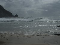 P, Faro, Vila do Bispo, Praia da Cordoama 104, Saxifraga-Willem van Kruijsbergen