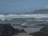 P, Faro, Vila do Bispo, Praia da Cordoama 107, Saxifraga-Willem van Kruijsbergen