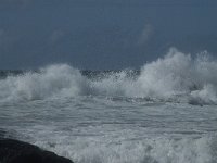 P, Faro, Vila do Bispo, Praia da Cordoama 108, Saxifraga-Willem van Kruijsbergen