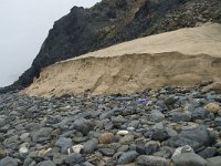 P, Faro, Vila do Bispo, Praia da Cordoama 12, Saxifraga-Willem van Kruijsbergen