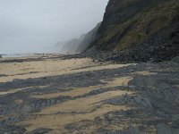 P, Faro, Vila do Bispo, Praia da Cordoama 13, Saxifraga-Willem van Kruijsbergen