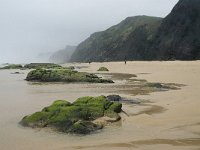 P, Faro, Vila do Bispo, Praia da Cordoama 17, Saxifraga-Willem van Kruijsbergen