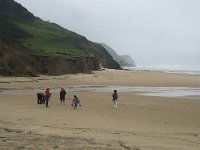 P, Faro, Vila do Bispo, Praia da Cordoama 2, Saxifraga-Willem van Kruijsbergen