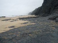 P, Faro, Vila do Bispo, Praia da Cordoama 21, Saxifraga-Willem van Kruijsbergen